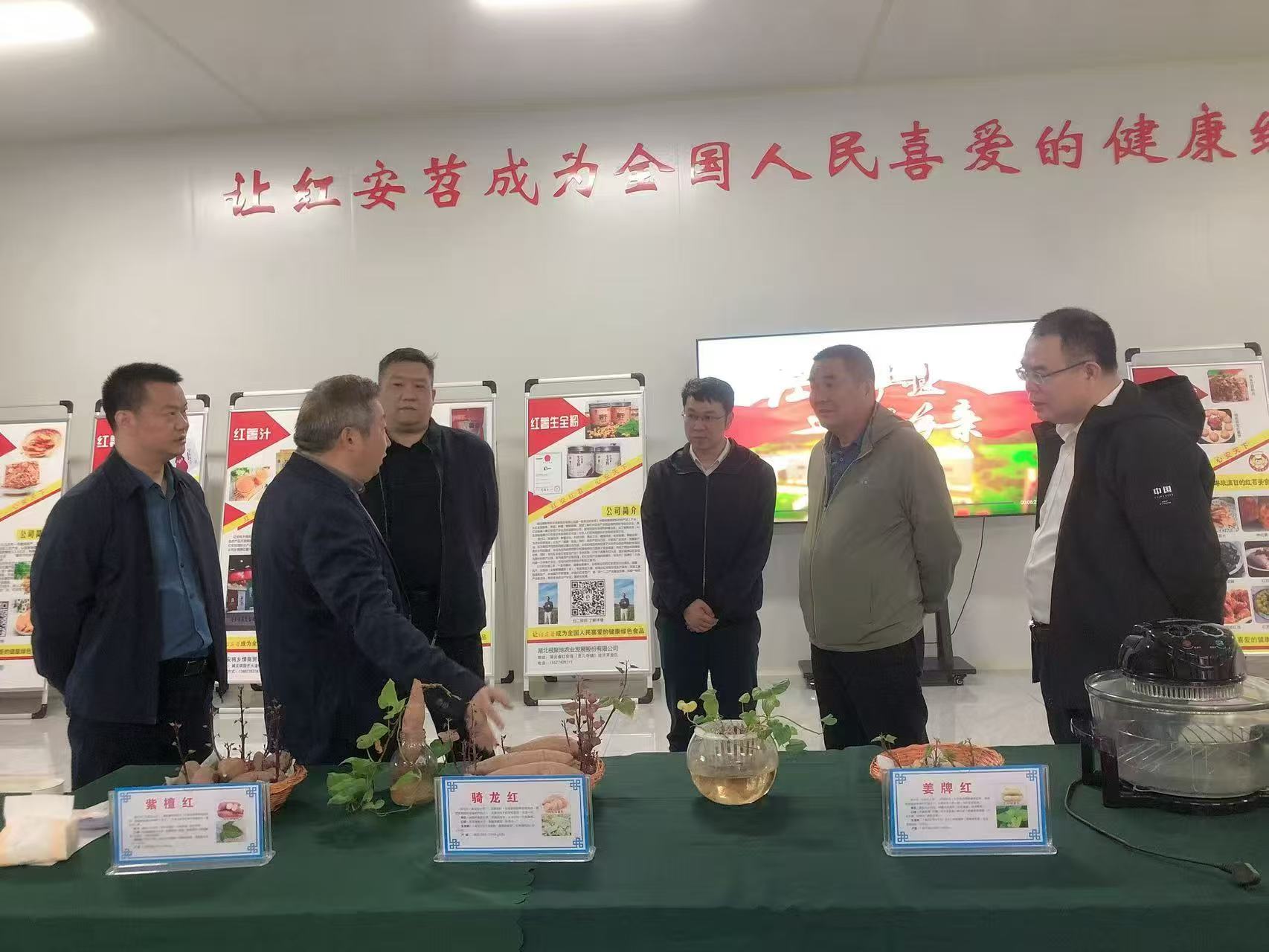 湖北省科學技術協(xié)會 驅動新材料技術推廣，服務產業(yè)創(chuàng)新發(fā)展